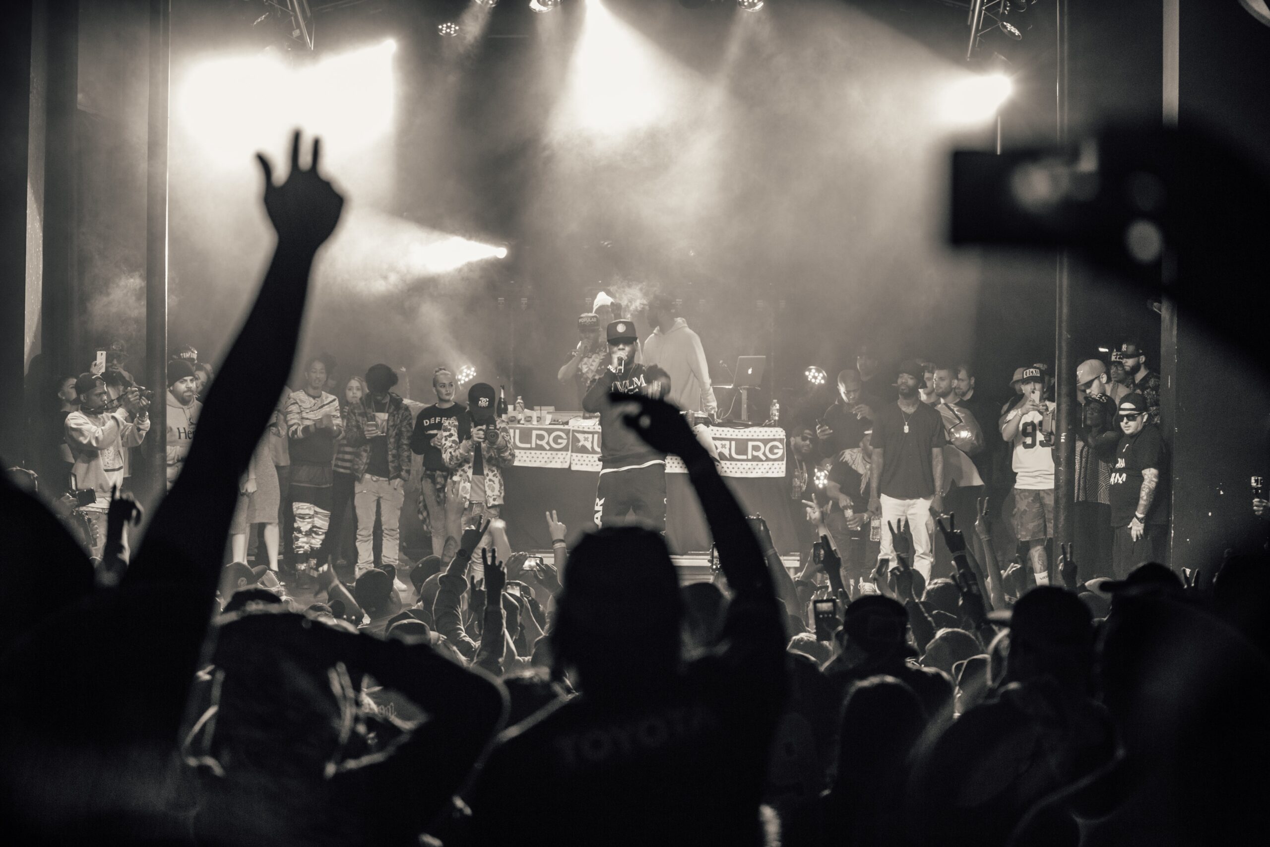 group of people in front of the concert stage